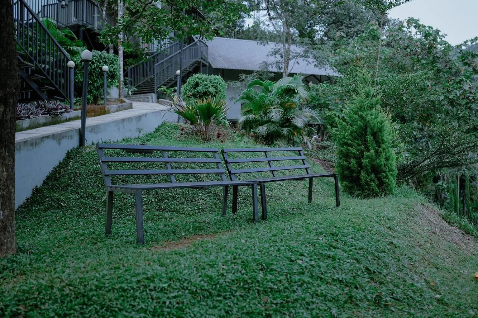 Mountain Vibes Resort واياناد فندق مبيت وإفطار