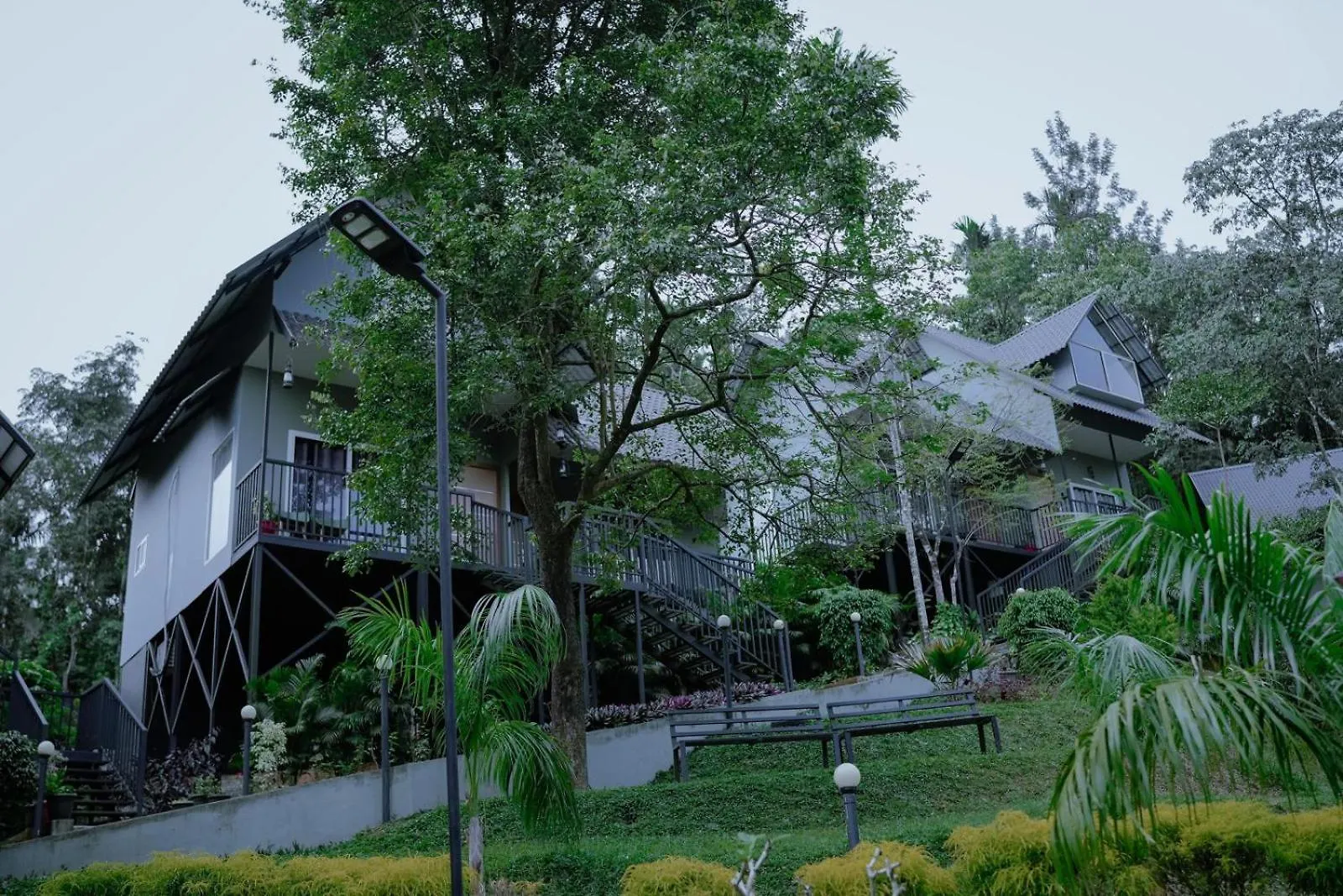 Mountain Vibes Resort Wayanad India